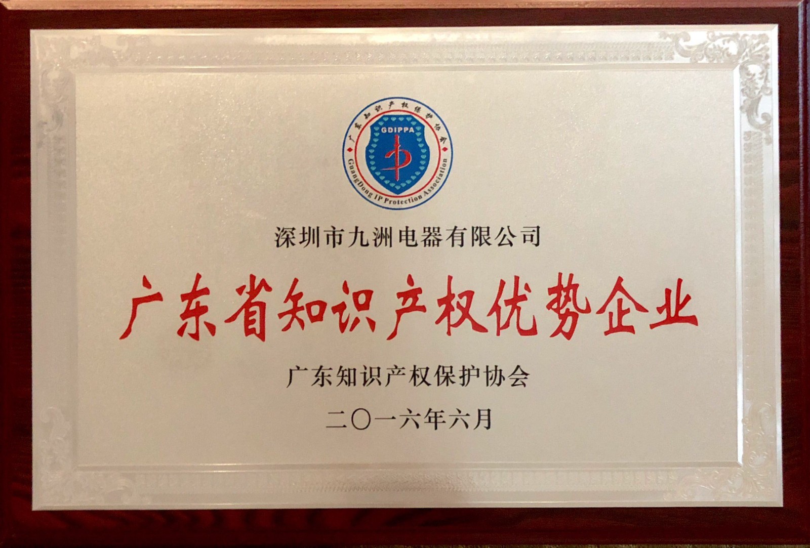 11.2016年廣東省知識(shí)產(chǎn)權(quán)優(yōu)勢企業(yè).jpg